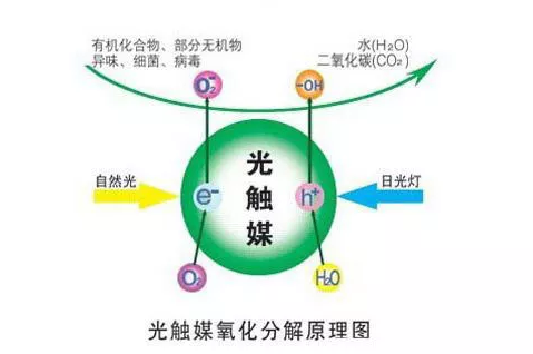 光觸媒能除甲醛嗎？