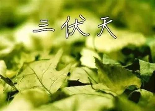 三伏天更要找杭州甲醛檢測(cè)公司上門采樣嗎？